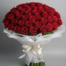 Букет 101 Красная роза Блэк Мэджик в Апастово