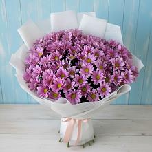 Букет цветов из:  Хризантемы в Апастово