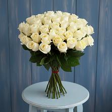 Букет 51 Белая роза Эдлесс Лав #REPLACE_PRED# Апастово