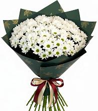 Букет цветов из:  Хризантемы в Апастово