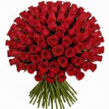 Букет Красные розы Чери Лав в Апастово